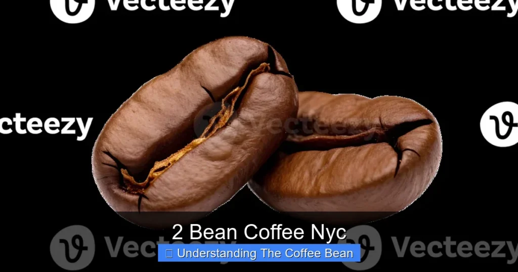 2 Bean Coffee Nyc