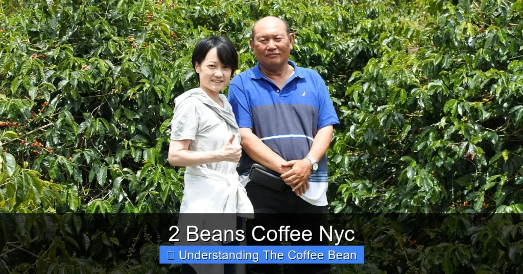 2 Beans Coffee Nyc