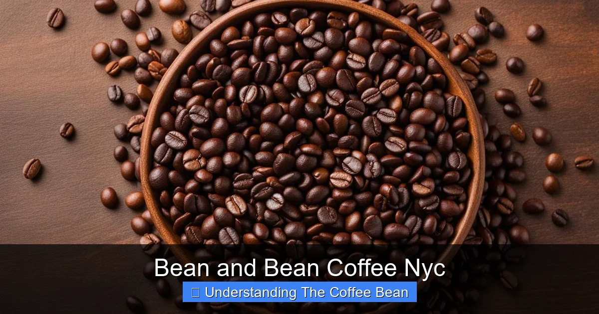 Bean and Bean Coffee Nyc