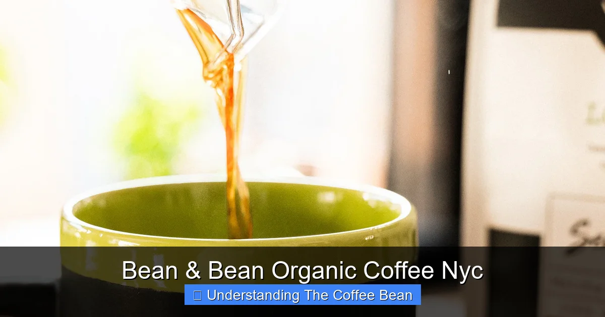 Bean & Bean Organic Coffee Nyc