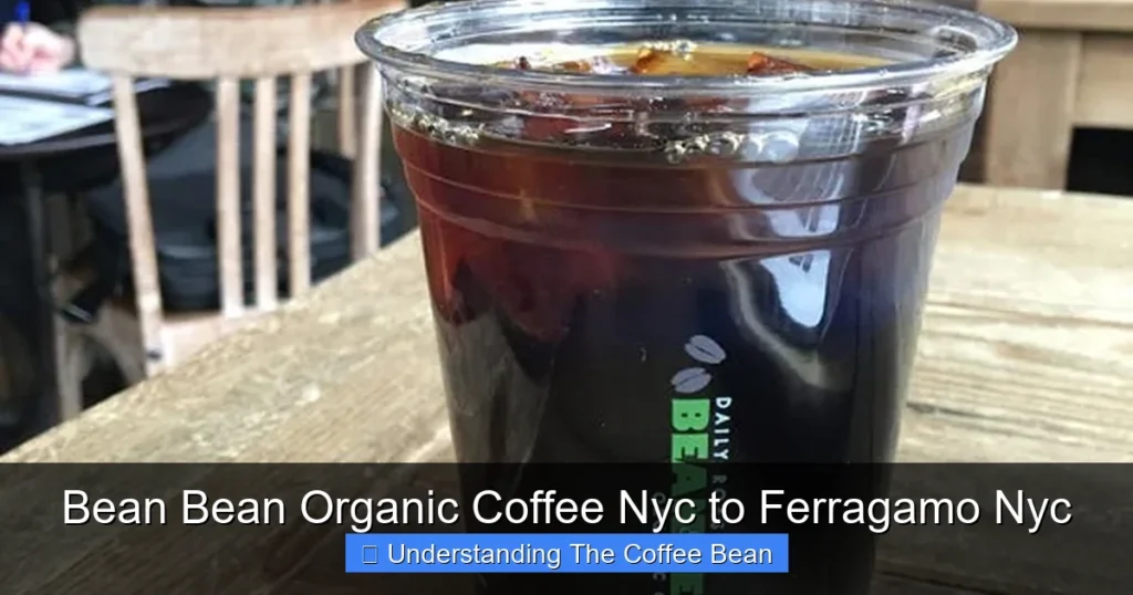 Bean Bean Organic Coffee Nyc to Ferragamo Nyc
