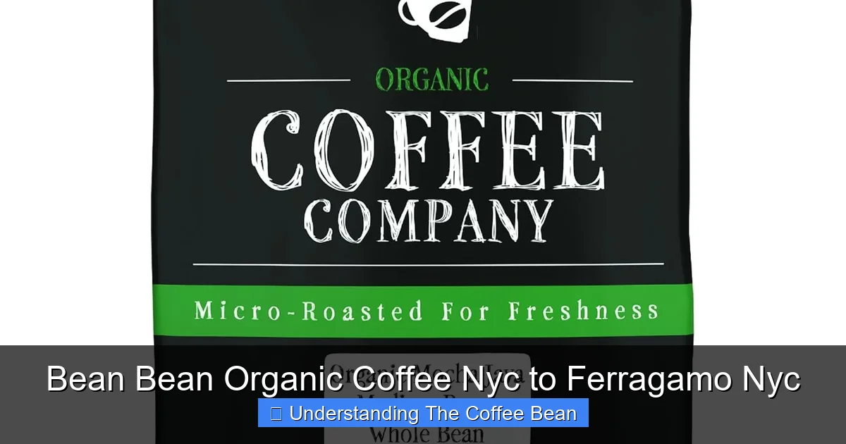 Bean Bean Organic Coffee Nyc to Ferragamo Nyc