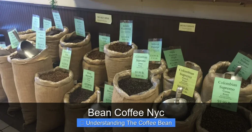 Bean Coffee Nyc