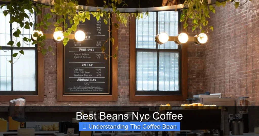 Best Beans Nyc Coffee