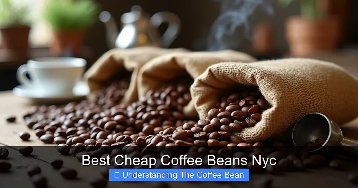 Best Cheap Coffee Beans Nyc