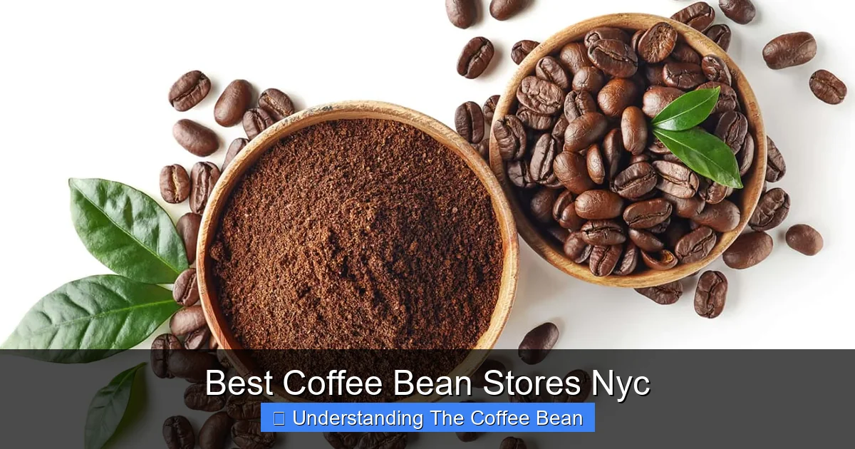 Best Coffee Bean Stores Nyc