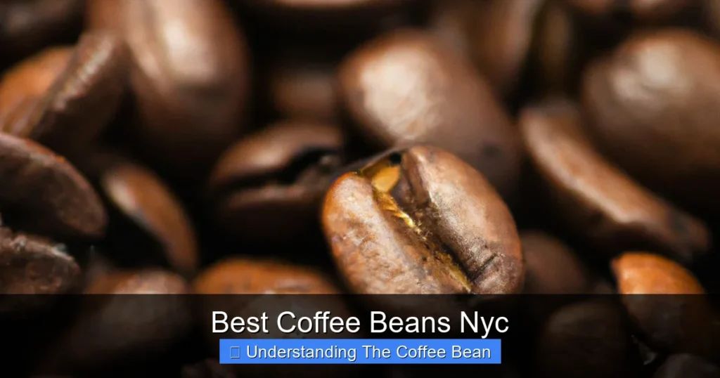 Best Coffee Beans Nyc