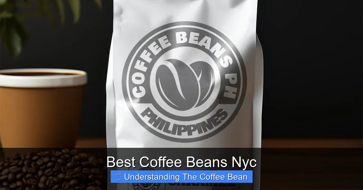 Best Coffee Beans Nyc