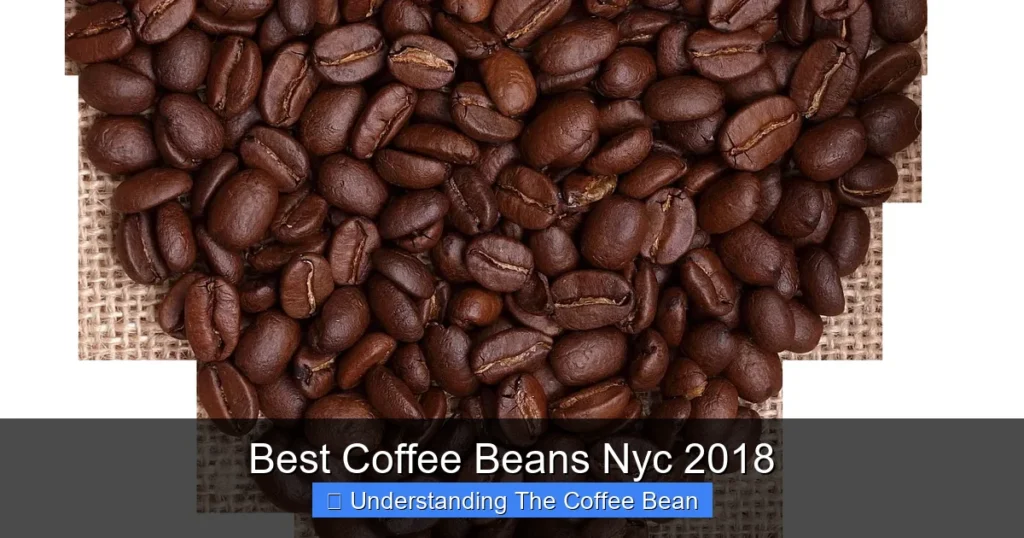Best Coffee Beans Nyc 2018