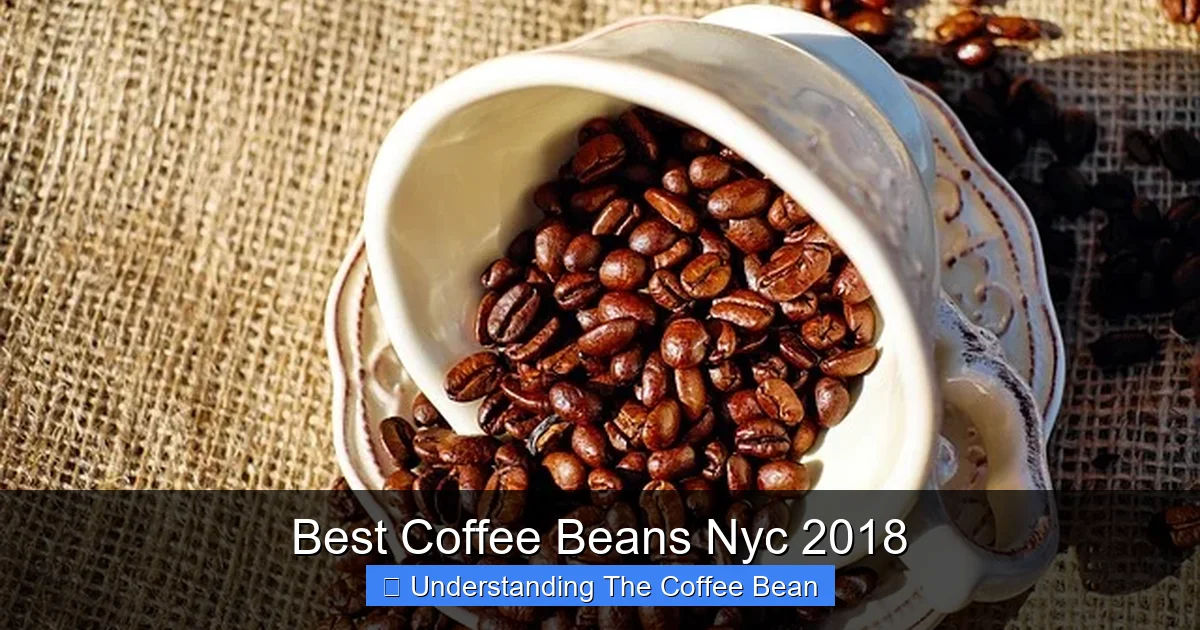 Best Coffee Beans Nyc 2018