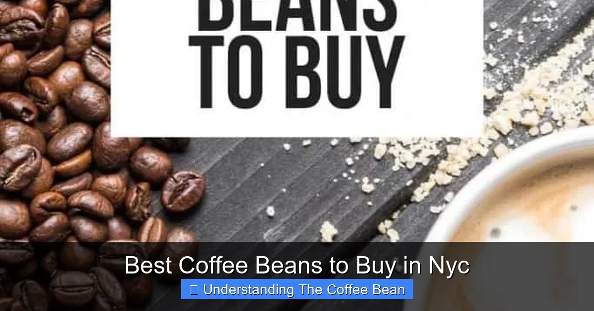 Best Coffee Beans to Buy in Nyc