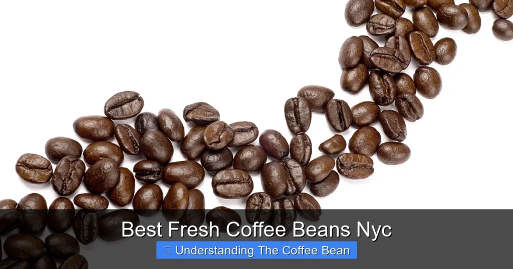 Best Fresh Coffee Beans Nyc