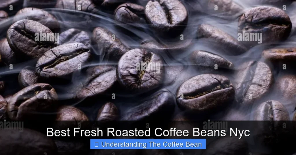 Best Fresh Roasted Coffee Beans Nyc