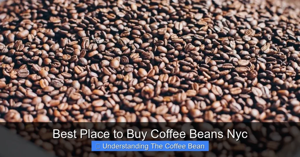 Best Place to Buy Coffee Beans Nyc