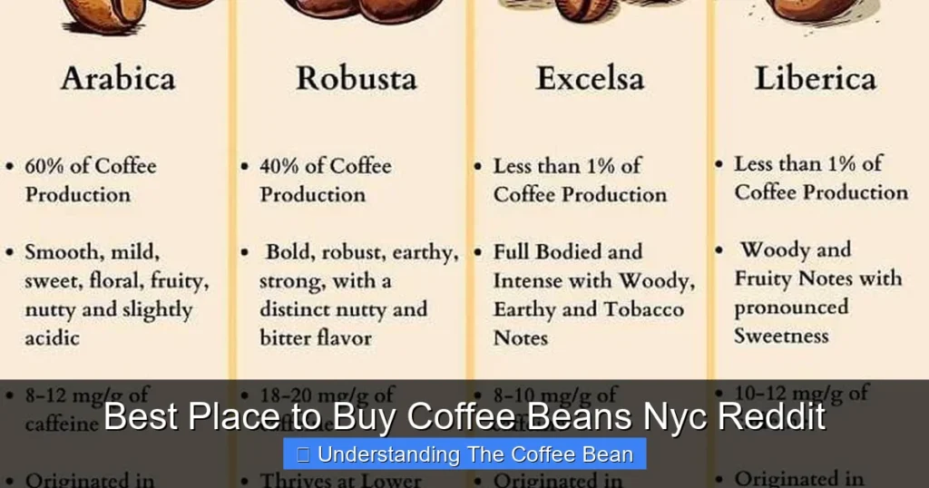 Best Place to Buy Coffee Beans Nyc Reddit