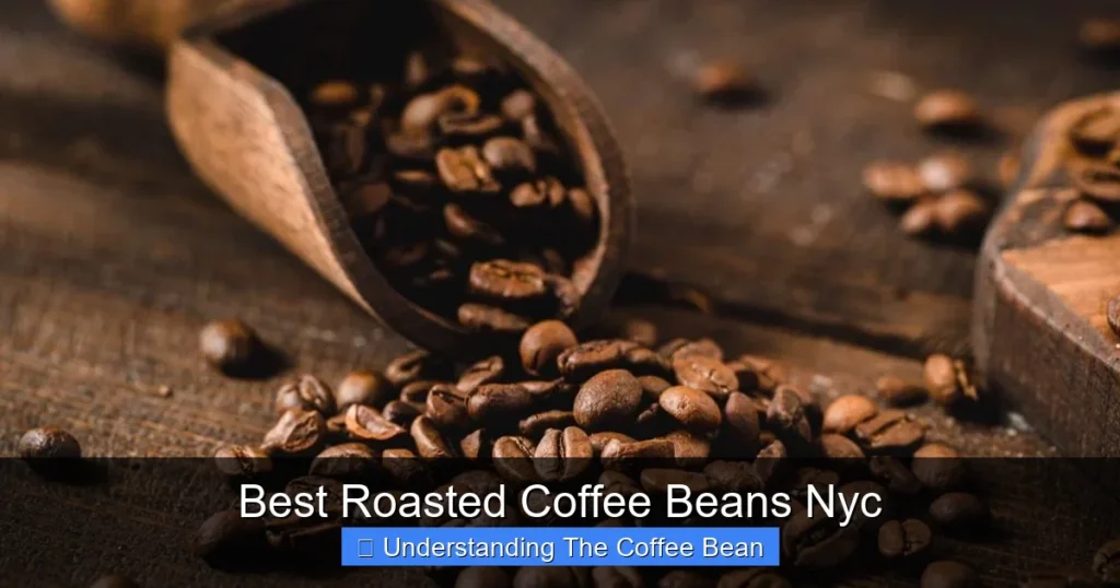 Best Roasted Coffee Beans Nyc