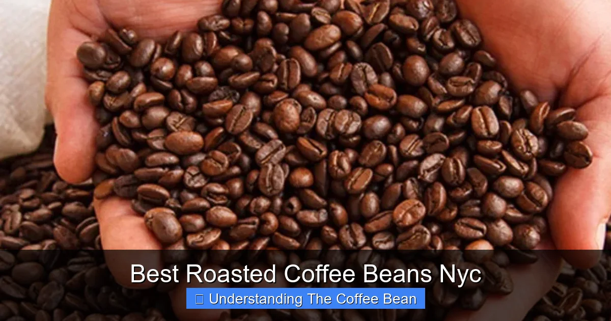 Best Roasted Coffee Beans Nyc