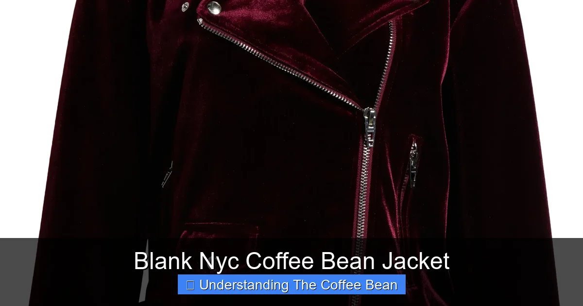 Blank Nyc Coffee Bean Jacket