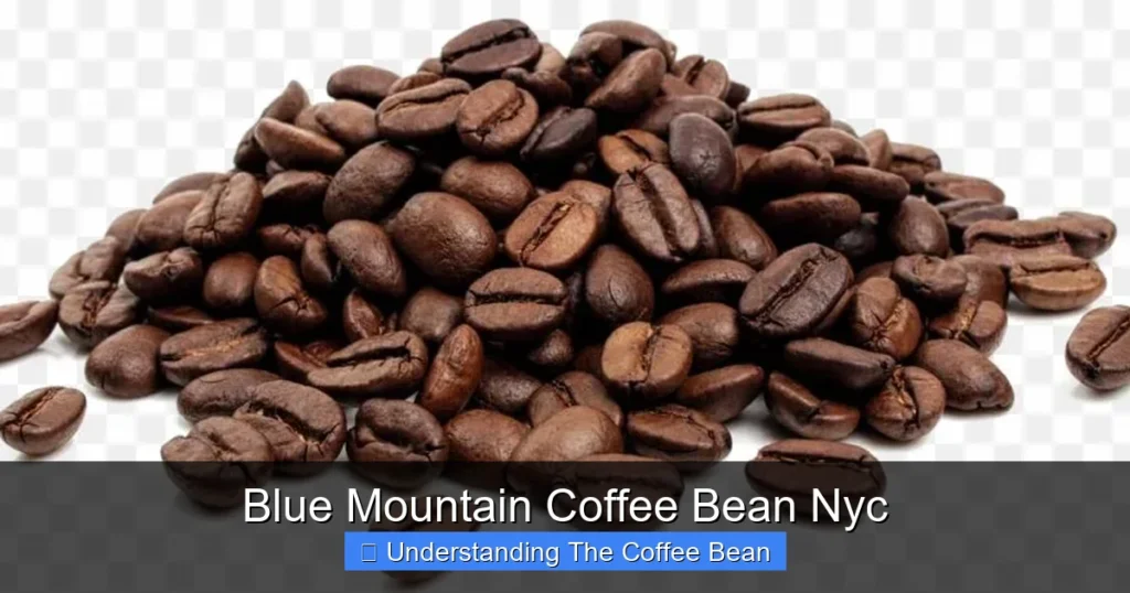 Blue Mountain Coffee Bean Nyc
