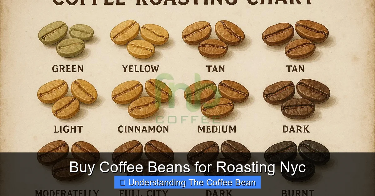 Buy Coffee Beans for Roasting Nyc