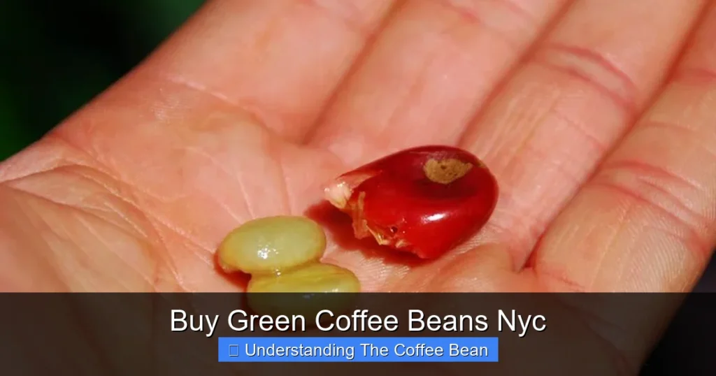 Buy Green Coffee Beans Nyc