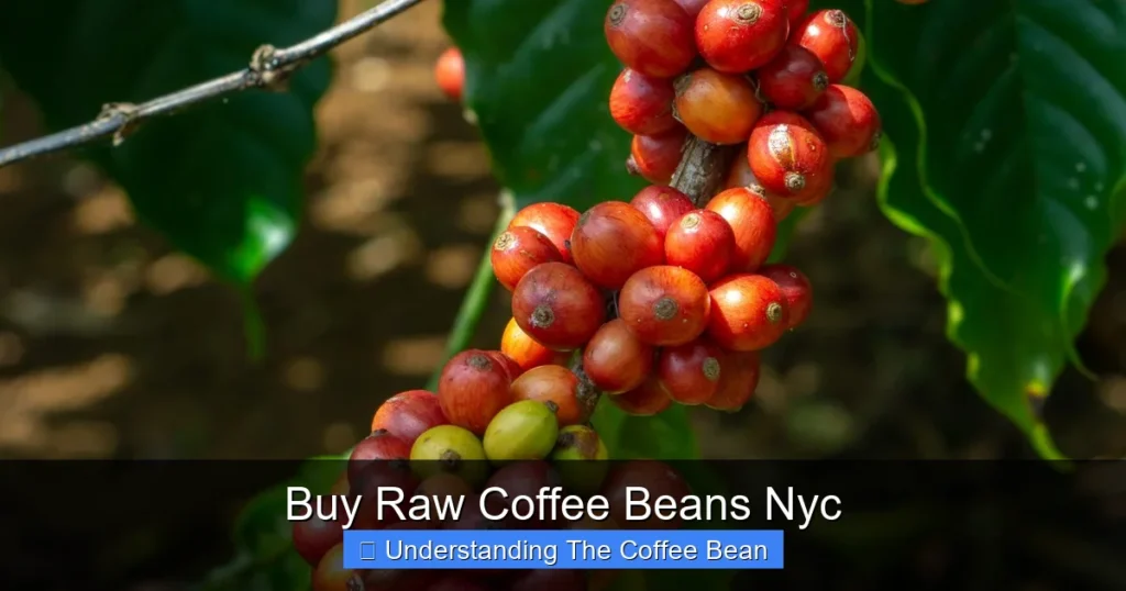 Buy Raw Coffee Beans Nyc