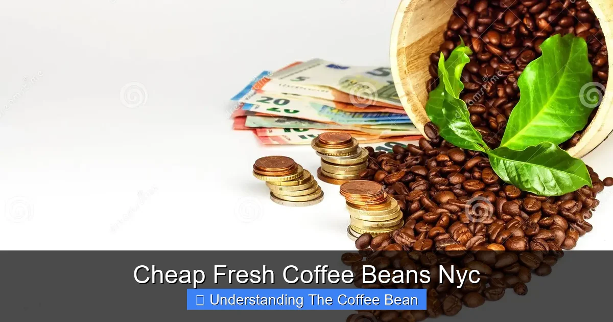 Cheap Fresh Coffee Beans Nyc