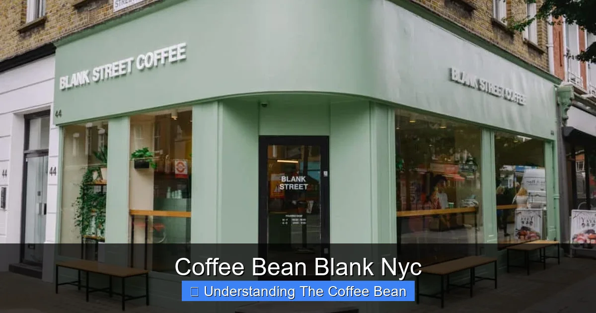 Coffee Bean Blank Nyc