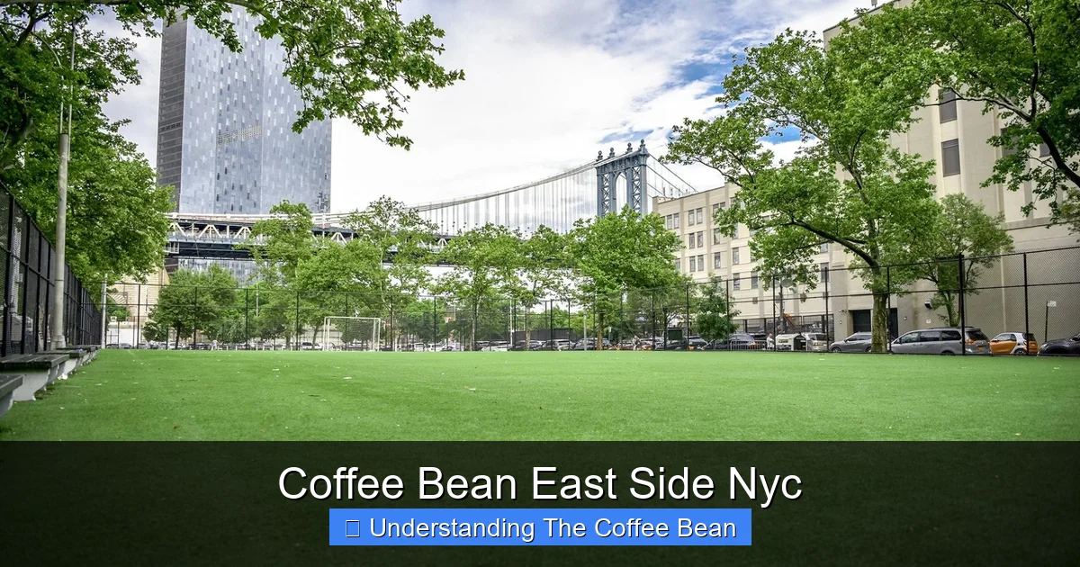 Coffee Bean East Side Nyc