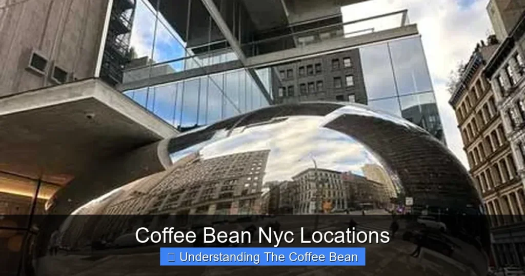Coffee Bean Nyc Locations