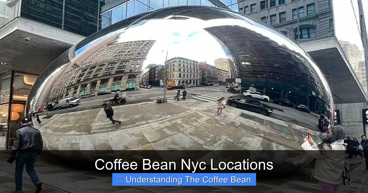 Coffee Bean Nyc Locations