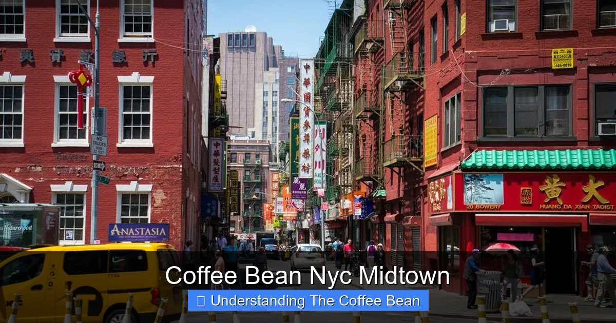 Coffee Bean Nyc Midtown