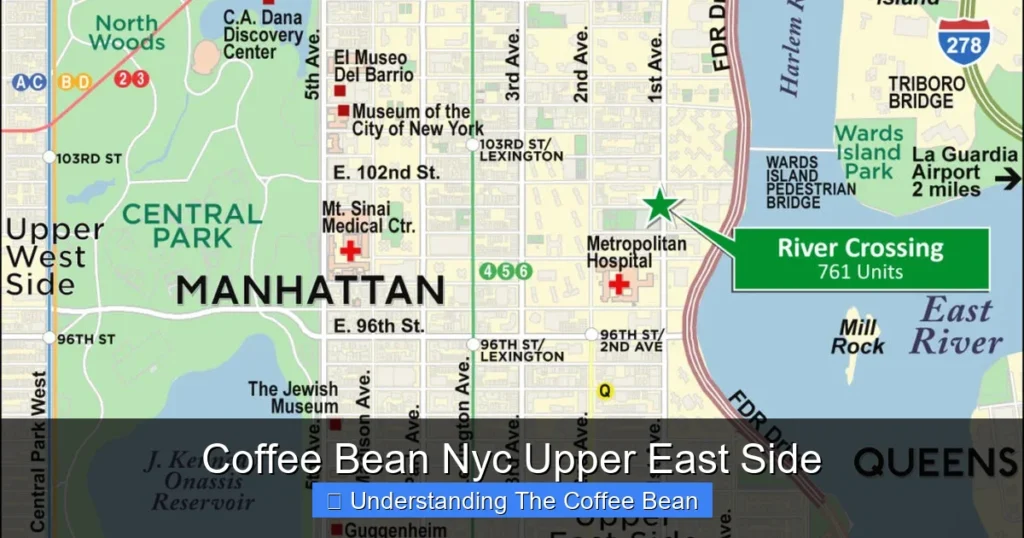 Coffee Bean Nyc Upper East Side