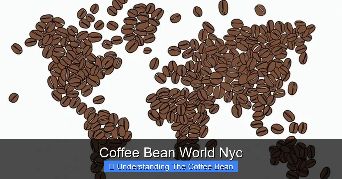 Coffee Bean World Nyc
