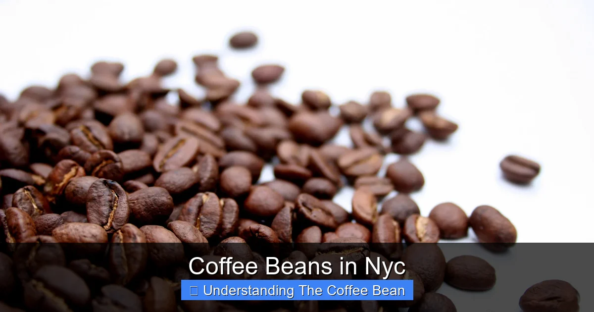 Coffee Beans in Nyc