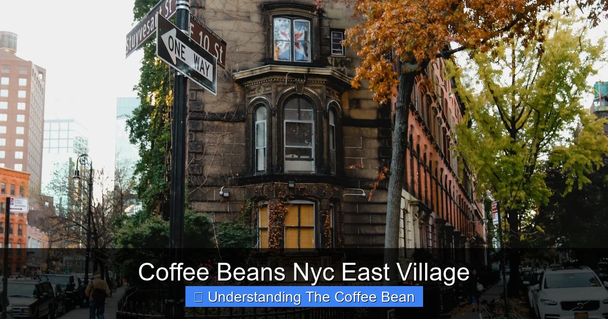 Coffee Beans Nyc East Village
