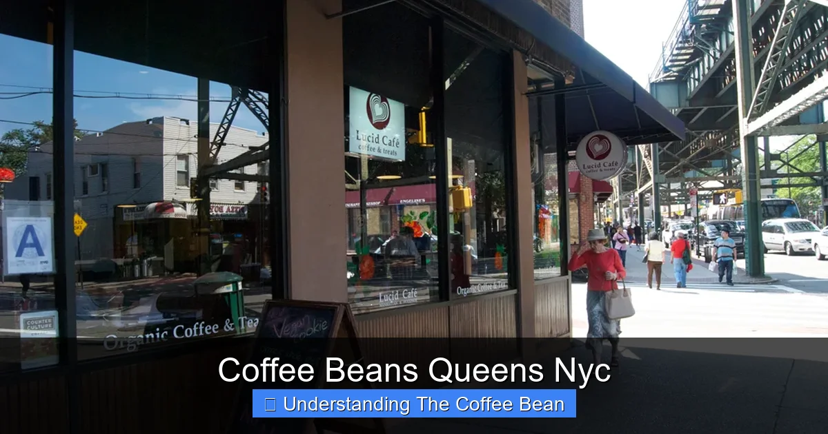 Coffee Beans Queens Nyc