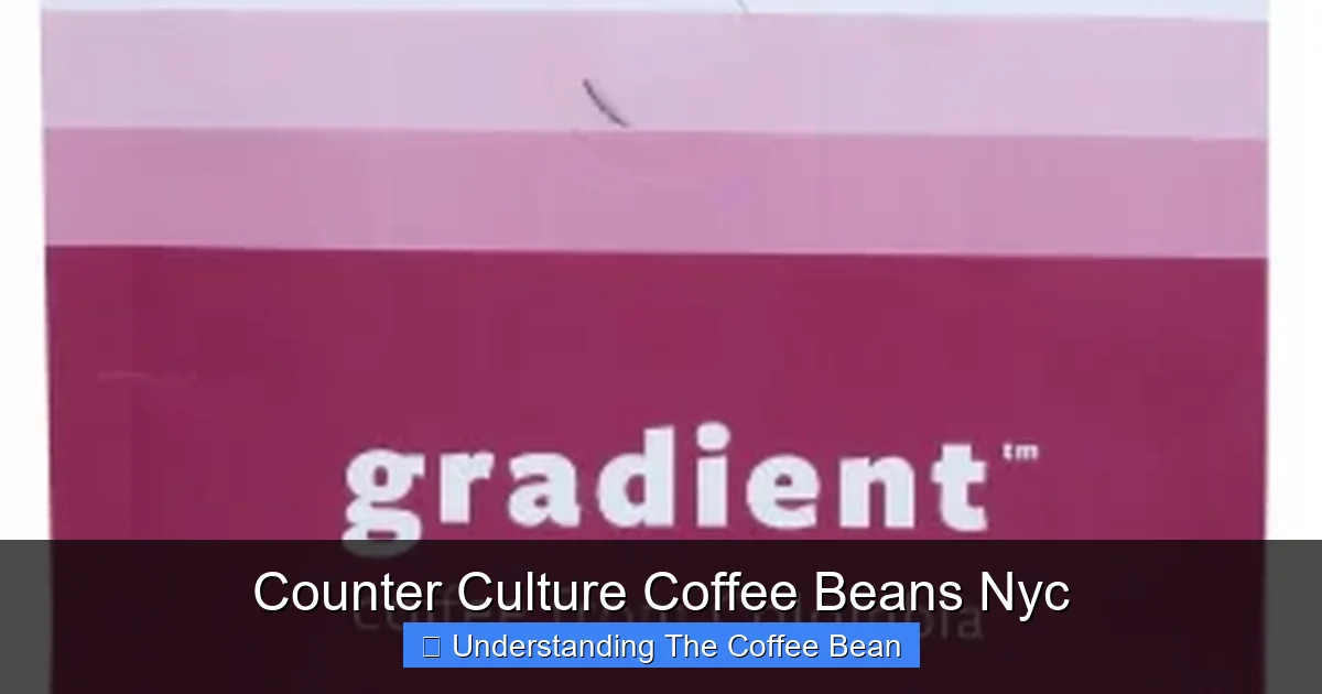 Counter Culture Coffee Beans Nyc