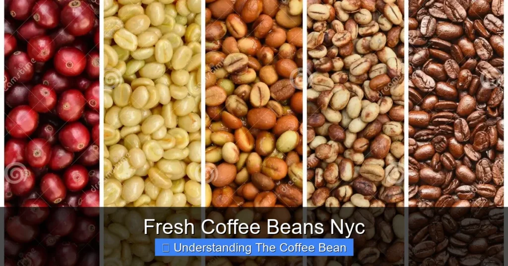 Fresh Coffee Beans Nyc
