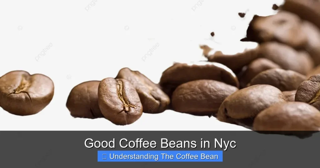 Good Coffee Beans in Nyc
