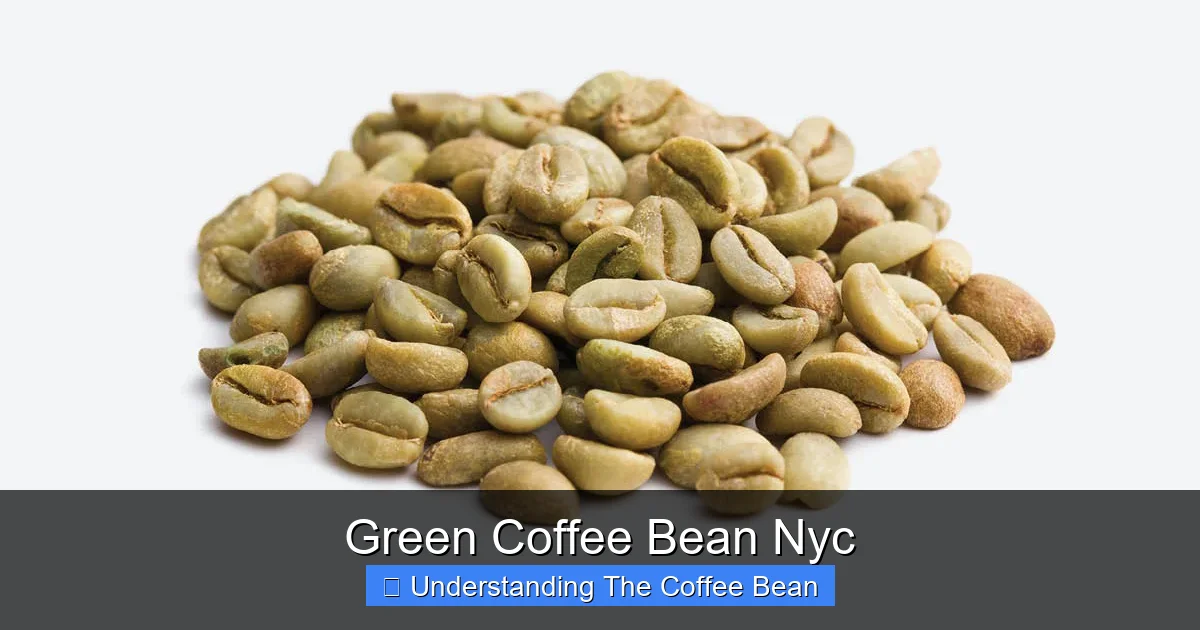 Green Coffee Bean Nyc