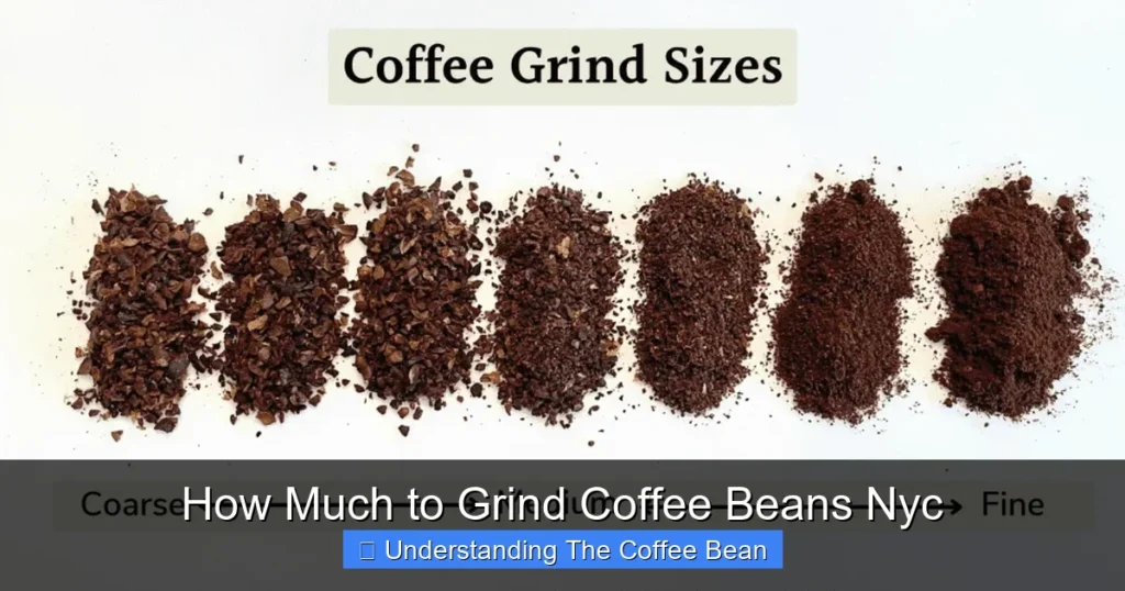 How Much to Grind Coffee Beans Nyc