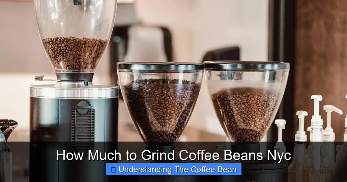 How Much to Grind Coffee Beans Nyc