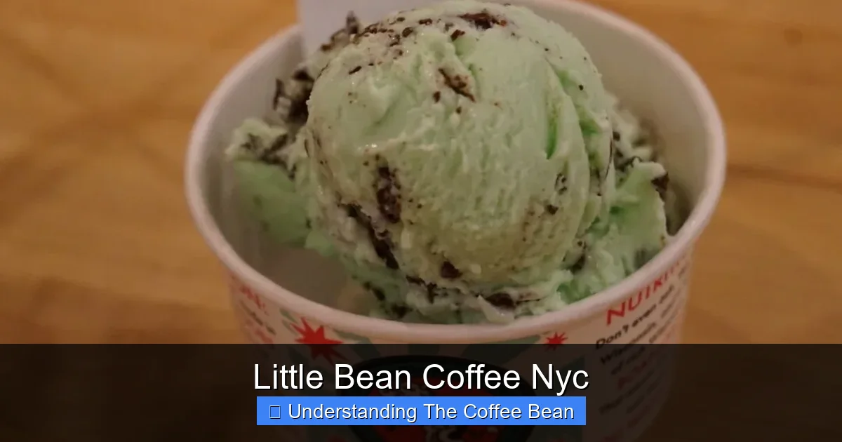 Little Bean Coffee Nyc