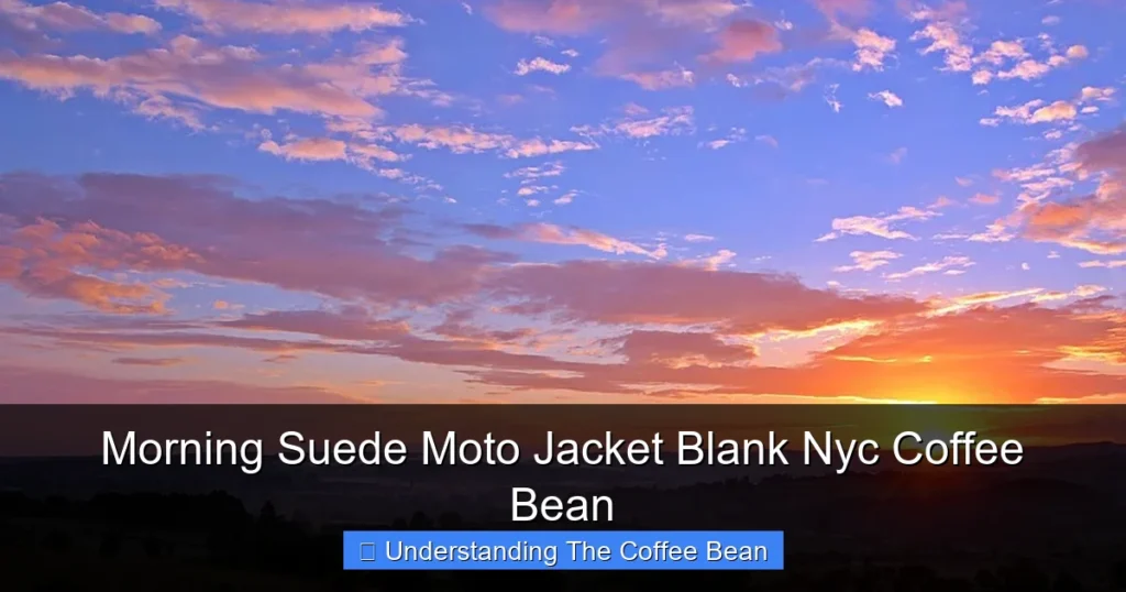 Morning Suede Moto Jacket Blank Nyc Coffee Bean