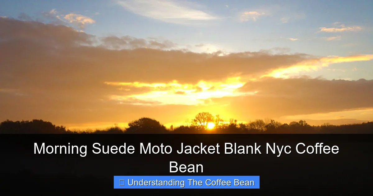 Morning Suede Moto Jacket Blank Nyc Coffee Bean