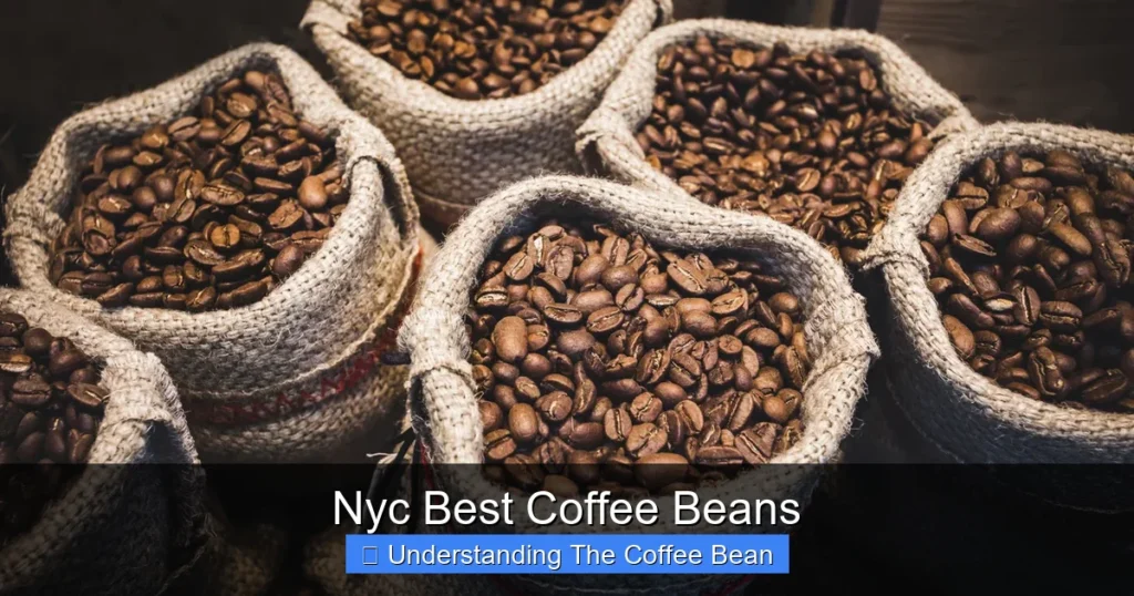 Nyc Best Coffee Beans