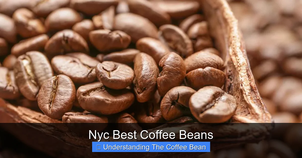 Nyc Best Coffee Beans