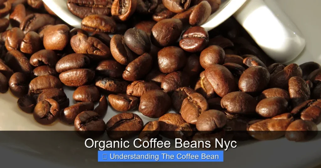 Organic Coffee Beans Nyc