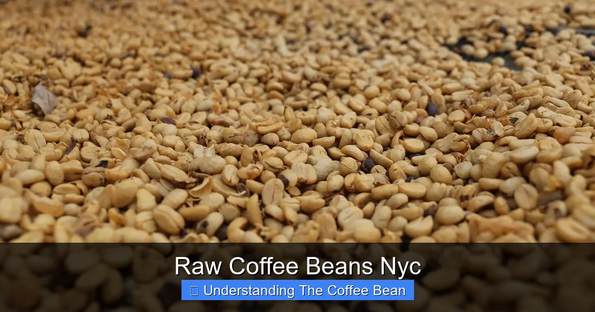 Raw Coffee Beans Nyc